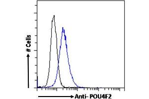 ABIN6391381 Flow cytometric analysis of paraformaldehyde fixed MCF7 cells (blue line), permeabilized with 0. (POU4F2 anticorps  (Internal Region))