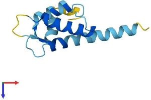 AlphaFold protein structure predicition of Human Recombinant S100A16 Protein, UniprotID Q96FQ6