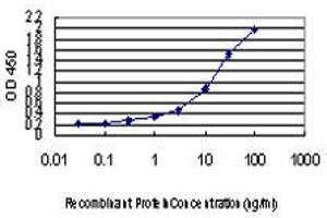 Detection limit for recombinant GST tagged GSR is approximately 0.