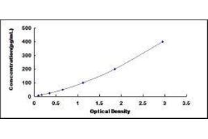 ELISA image for Tumor Protein P53 (TP53) ELISA Kit (ABIN424051)