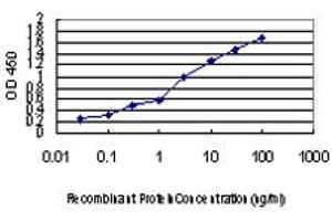Detection limit for recombinant GST tagged FOXA2 is approximately 0. (FOXA2 anticorps  (AA 363-457))
