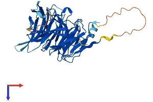 AlphaFold protein structure predicition of Human Recombinant EIPR1 Protein, UniprotID Q53HC9