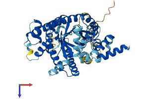 AlphaFold protein structure predicition of Mouse Recombinant Prodh2 Protein, UniprotID Q8VCZ9