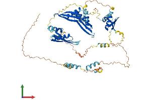 AlphaFold protein structure predicition of Mouse Recombinant Stau2 Protein, UniprotID Q8CJ67