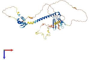AlphaFold protein structure predicition of Human Recombinant E2F1 Protein, UniprotID Q01094