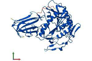 AlphaFold protein structure predicition of Mouse Recombinant Acot4 Protein, UniprotID Q8BWN8