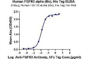 Immobilized Human FGFR3 alpha (IIIc) at 0.