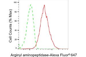 Flow cytometric analysis of Arginyl aminopeptidase expression in HepG2 cells using Arginyl aminopeptidase antibody (ABIN7797648), 1:2,000).