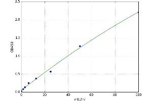 Thyroid Hormone Receptor, alpha (THRA) ELISA Kit