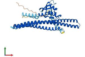 AlphaFold protein structure predicition of Mouse Recombinant Snx32 Protein, UniprotID Q80ZJ7