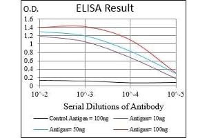 Black line: Control Antigen (100 ng), Purple line: Antigen(10 ng), Blue line: Antigen (50 ng), Red line: Antigen (100 ng), (Importin 9 anticorps  (AA 453-680))