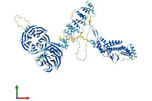 AlphaFold protein structure predicition of Human Recombinant COPA Protein, UniprotID P53621