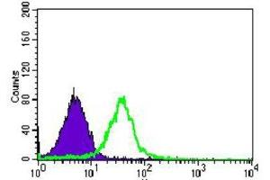Flow Cytometry (FACS) image for anti-Bone Morphogenetic Protein Receptor 1A (BMPR1A) (AA 179-378) antibody (ABIN1845272) (BMPR1A anticorps  (AA 179-378))