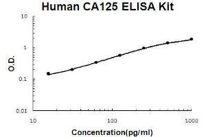 Human CA125/MUC16 PicoKine ELISA Kit standard curve (MUC16 Kit ELISA)