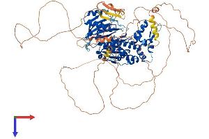AlphaFold protein structure predicition of Human Recombinant DENND1C Protein, UniprotID Q8IV53