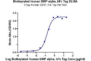 Immobilized Human CD47, His Tag at 1 μg/mL (100 μL/well) on the plate. (SIRPA Protein (Fc-Avi Tag,Biotin))