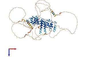 AlphaFold protein structure predicition of Human Recombinant NFKBIZ Protein, UniprotID Q9BYH8