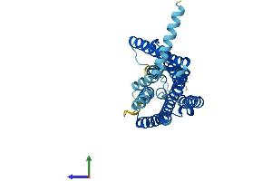 AlphaFold protein structure predicition of Human Recombinant OR2F1 Protein, UniprotID Q13607