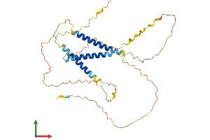 AlphaFold protein structure predicition of Human Recombinant C21orf58 Protein, UniprotID P58505