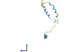 AlphaFold protein structure predicition of Mouse Recombinant Sprr2f Protein, UniprotID O70557