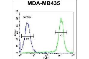 anti-SWT1 RNA Endoribonuclease Homolog (SWT1) (AA 286-314), (N-Term) antibody