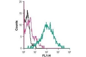 Cell surface detection of TNFR1 in live intact human MEG-01 megakaryoblastic leukemia cells: (black line) Cells.