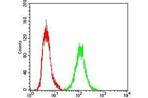 Flow cytometric analysis of A431 cells using XRCC6 mouse mAb (green) and negative control (red).
