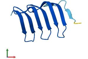 AlphaFold protein structure predicition of Human Recombinant MORN2 Protein, UniprotID Q502X0