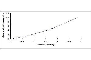 Typical standard curve (TRAIL Kit ELISA)