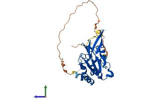AlphaFold protein structure predicition of Mouse Recombinant Ctdspl Protein, UniprotID P58465