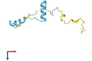 AlphaFold protein structure predicition of Human Recombinant MUSTN1 Protein, UniprotID Q8IVN3