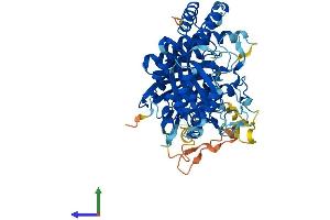 AlphaFold protein structure predicition of Mouse Recombinant Msto1 Protein, UniprotID Q2YDW2