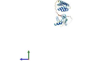 AlphaFold protein structure predicition of Mouse Recombinant Cuedc2 Protein, UniprotID Q9CXX9