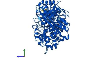 AlphaFold protein structure predicition of Mouse Recombinant Pgm1 Protein, UniprotID Q9D0F9