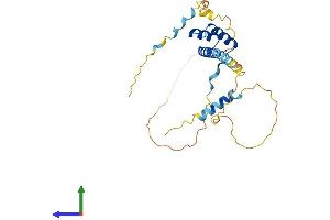 AlphaFold protein structure predicition of Human Recombinant PRRX2 Protein, UniprotID Q99811