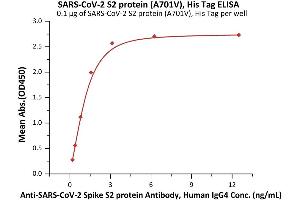 Immobilized SARS-CoV-2 S2 protein (A701V), His Tag (ABIN6992376) at 1 μg/mL (100 μL/well) can bind A-CoV-2 Spike S2 protein Antibody, Human IgG4 (S2N-S86) with a linear range of 0. (SARS-CoV-2 Spike S2 Protein (B.1.351 - beta) (His tag))