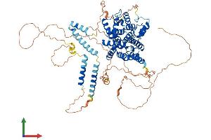AlphaFold protein structure predicition of Human Recombinant PDE4B Protein, UniprotID Q07343