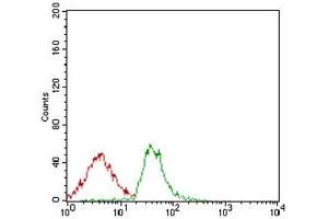 Flow Cytometry (FACS) image for anti-Activated Leukocyte Cell Adhesion Molecule (ALCAM) (AA 48-216) antibody (ABIN1846221) (CD166 anticorps  (AA 48-216))