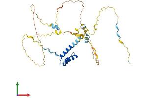 AlphaFold protein structure predicition of Mouse Recombinant Barhl1 Protein, UniprotID P63157