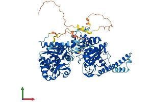 AlphaFold protein structure predicition of Mouse Recombinant Gys2 Protein, UniprotID Q8VCB3