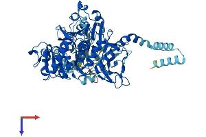 AlphaFold protein structure predicition of Human Recombinant SLC27A4 Protein, UniprotID Q6P1M0