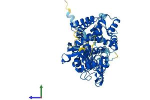 AlphaFold protein structure predicition of Human Recombinant CYP8B1 Protein, UniprotID Q9UNU6
