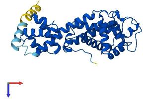 AlphaFold protein structure predicition of Mouse Recombinant Elmod2 Protein, UniprotID Q8BGF6