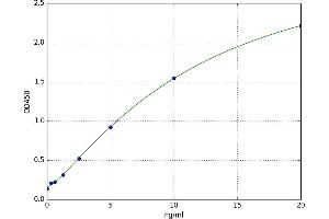 Estrogen-Related Receptor gamma (ESRRG) ELISA Kit