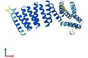 AlphaFold protein structure predicition of Human Recombinant NAPB Protein, UniprotID Q9H115
