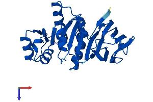 AlphaFold protein structure predicition of Mouse Recombinant Tpk1 Protein, UniprotID Q9R0M5