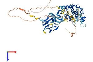 AlphaFold protein structure predicition of Human Recombinant CHEK2 Protein, UniprotID O96017