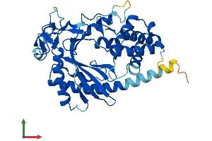 AlphaFold protein structure predicition of Human Recombinant MAB21L3 Protein, UniprotID Q8N8X9
