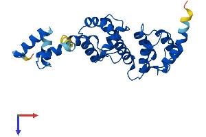 AlphaFold protein structure predicition of Human Recombinant DCUN1D1 Protein, UniprotID Q96GG9