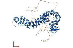 AlphaFold protein structure predicition of Mouse Recombinant Pds5b Protein, UniprotID Q4VA53